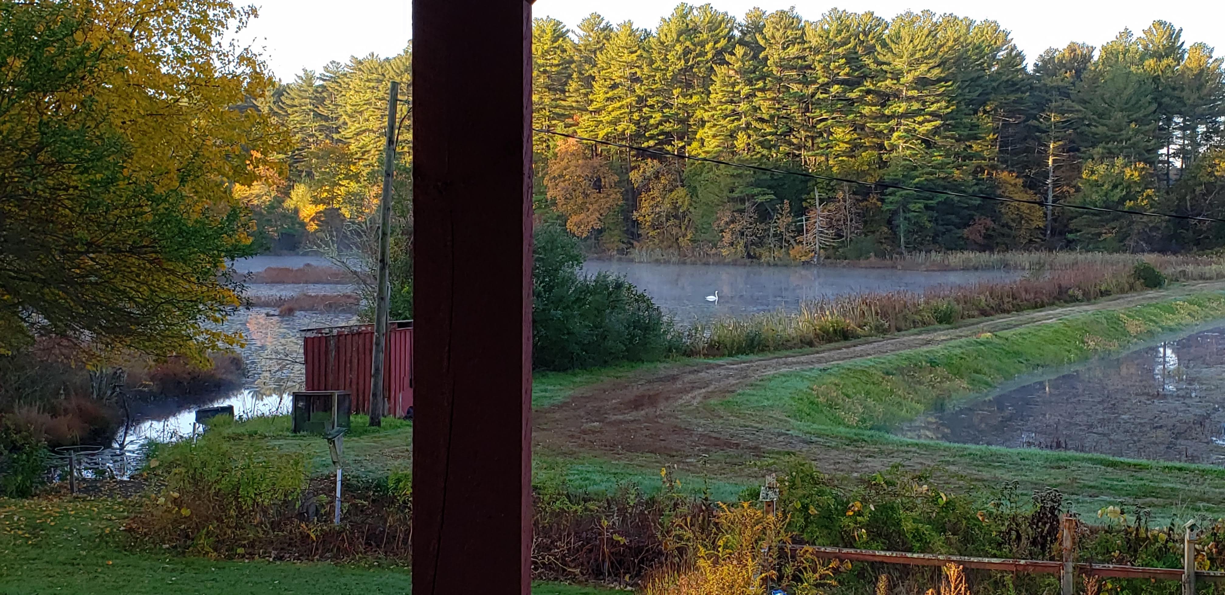 On Cranberry Pond Bed and Breakfast-酒店景观