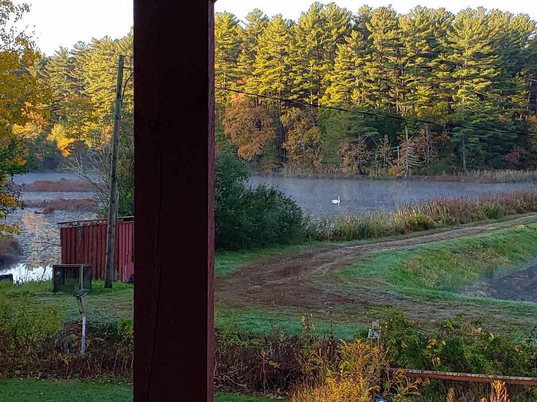 On Cranberry Pond Bed and Breakfast主图