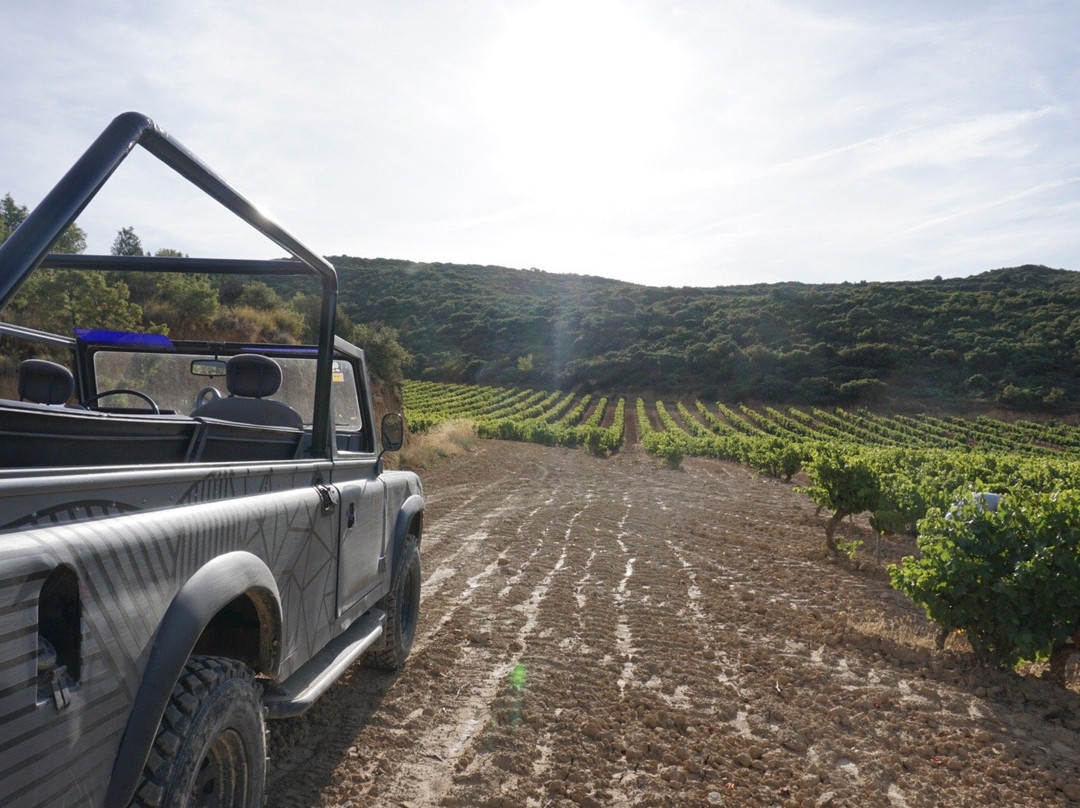 Bodegas Proyecto Unsi景点图片