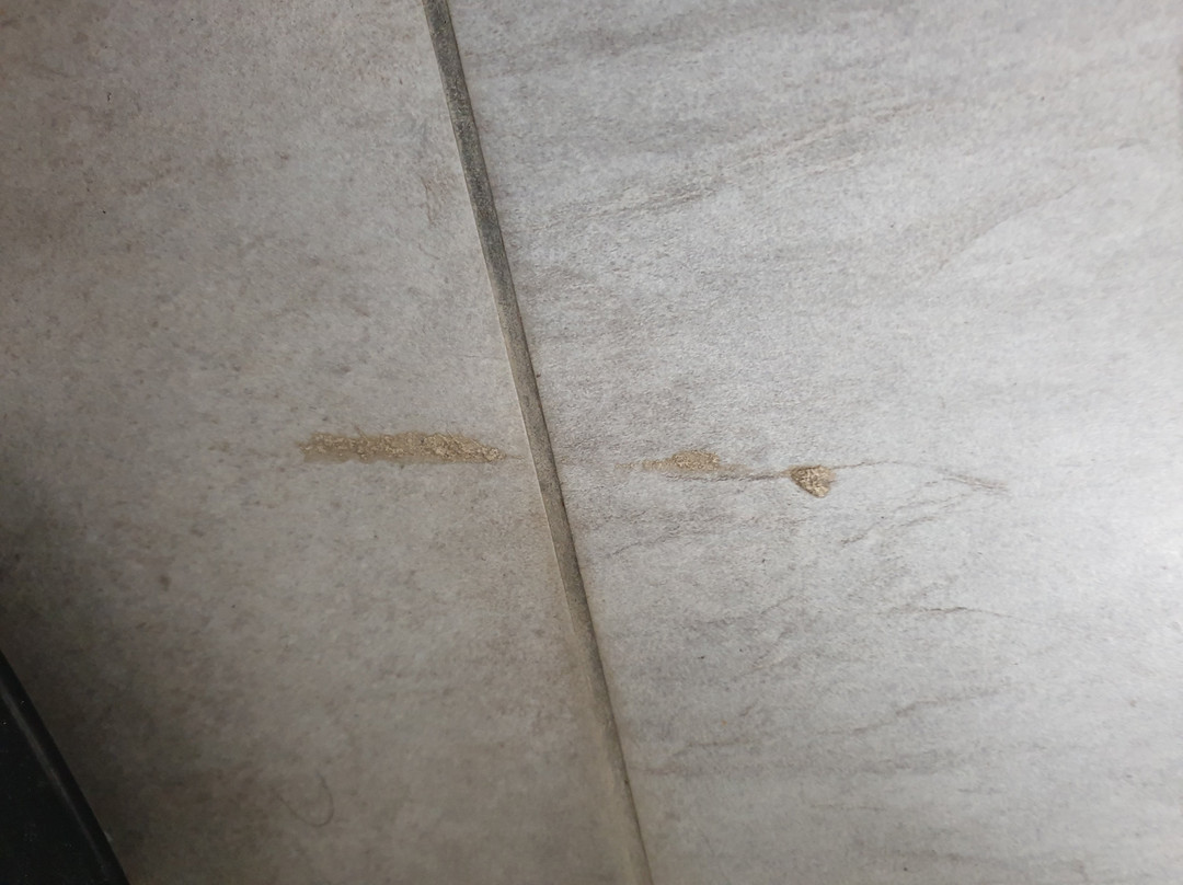 Albatros Hotel主图