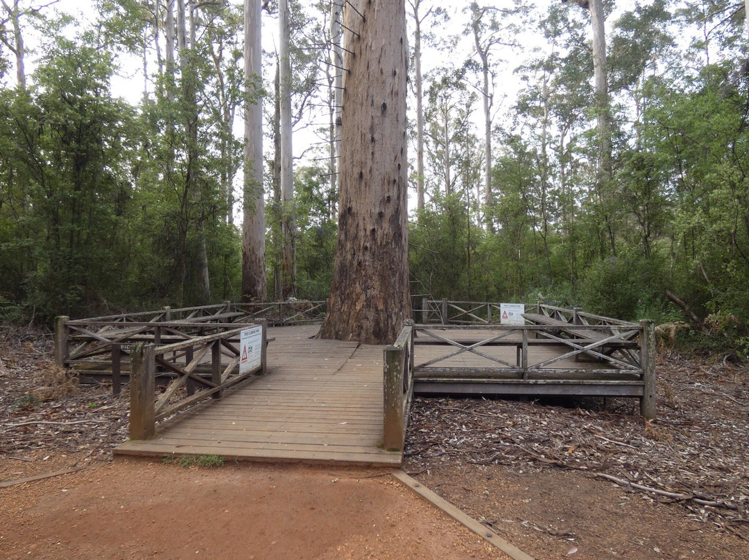 Warren National Park-彭伯顿必去景点