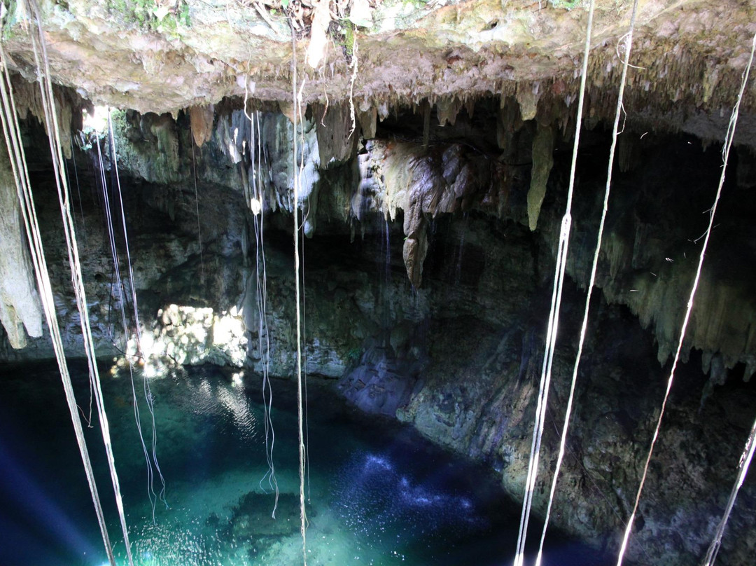 Cenote Maya Park景点图片
