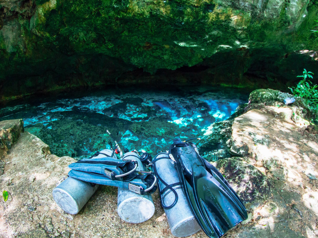 The Cenote Guy - Cenote Diving
