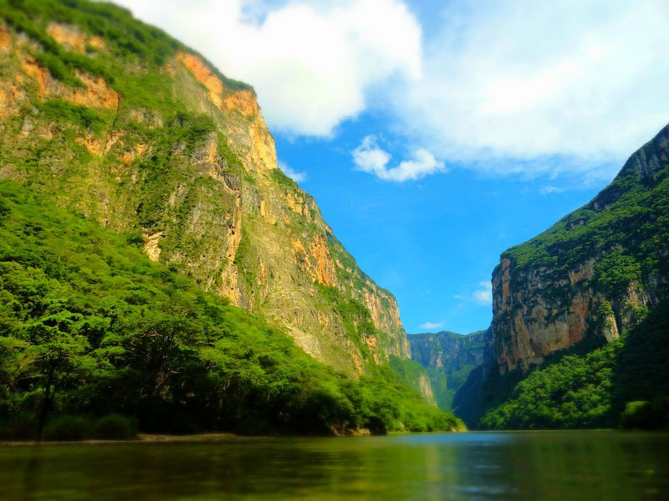 Caminemos Tours景点图片