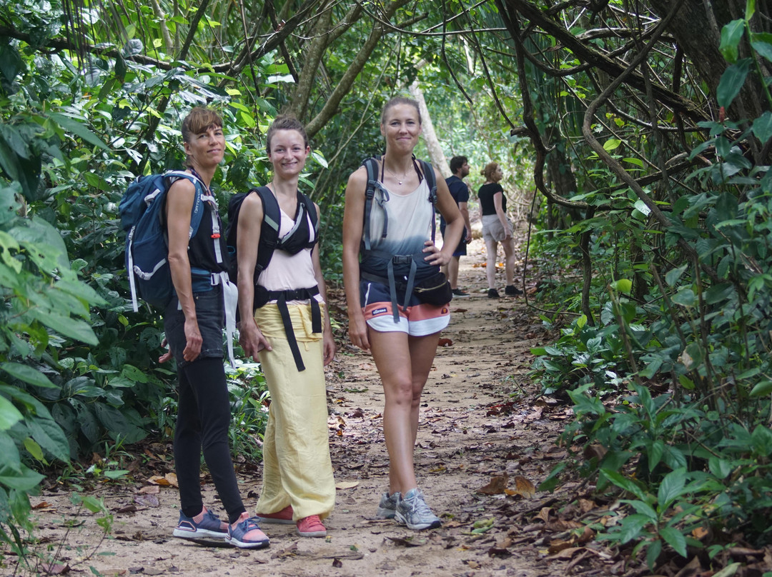 Redfrogteam Guardianes de la Naturaleza-旧港必去景点