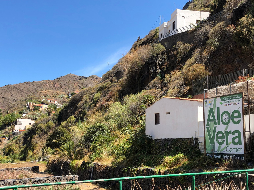 Finca Canarias Aloe Vera-La Gomera必去景点