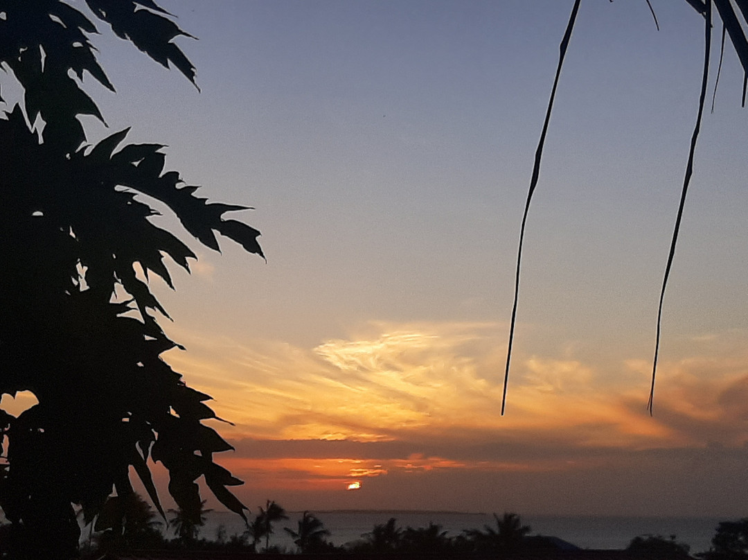 Kendwa Royal Palm主图