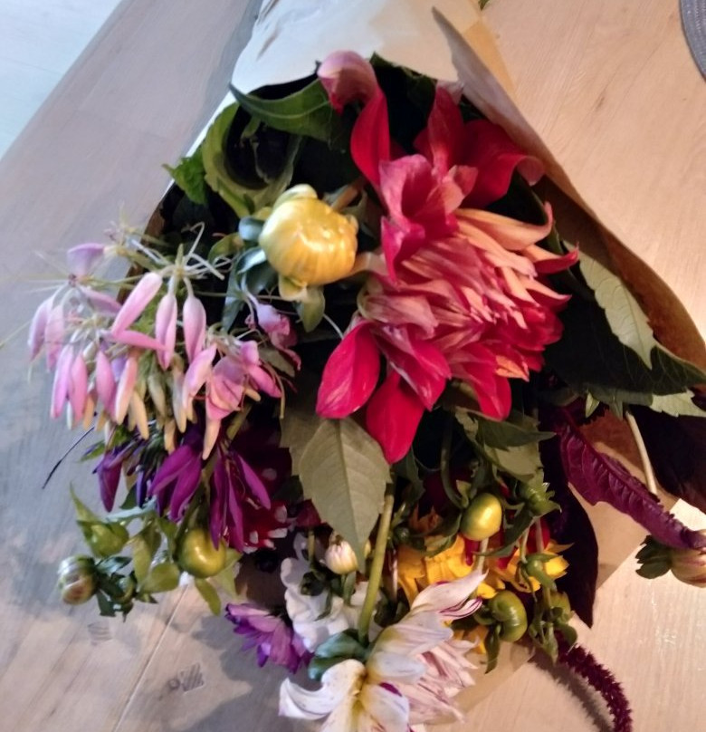 Fien Fleur