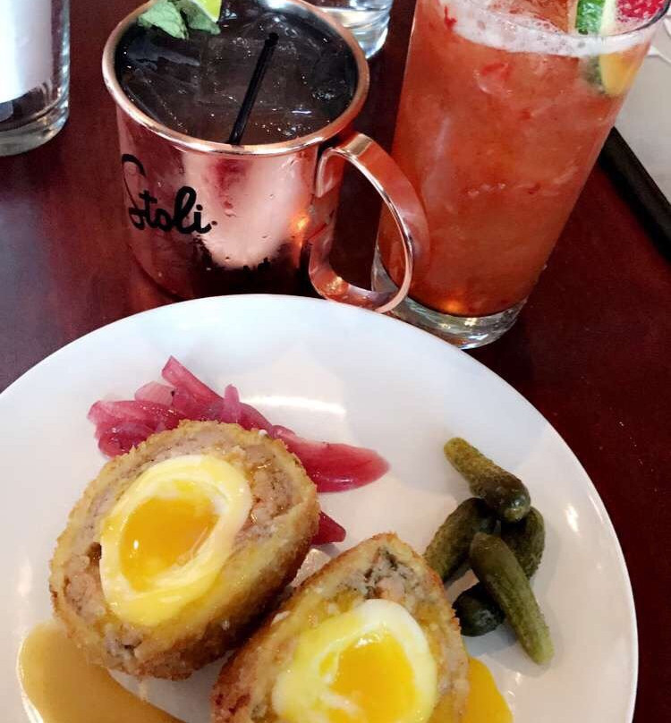 北布伦斯威克旅游景点-Destination Dogs