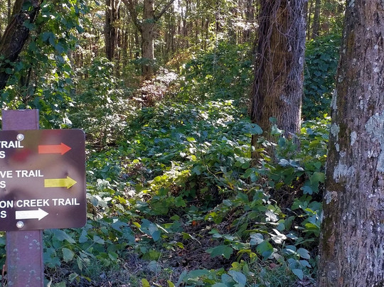 Burnt Mountain Preserve Trail