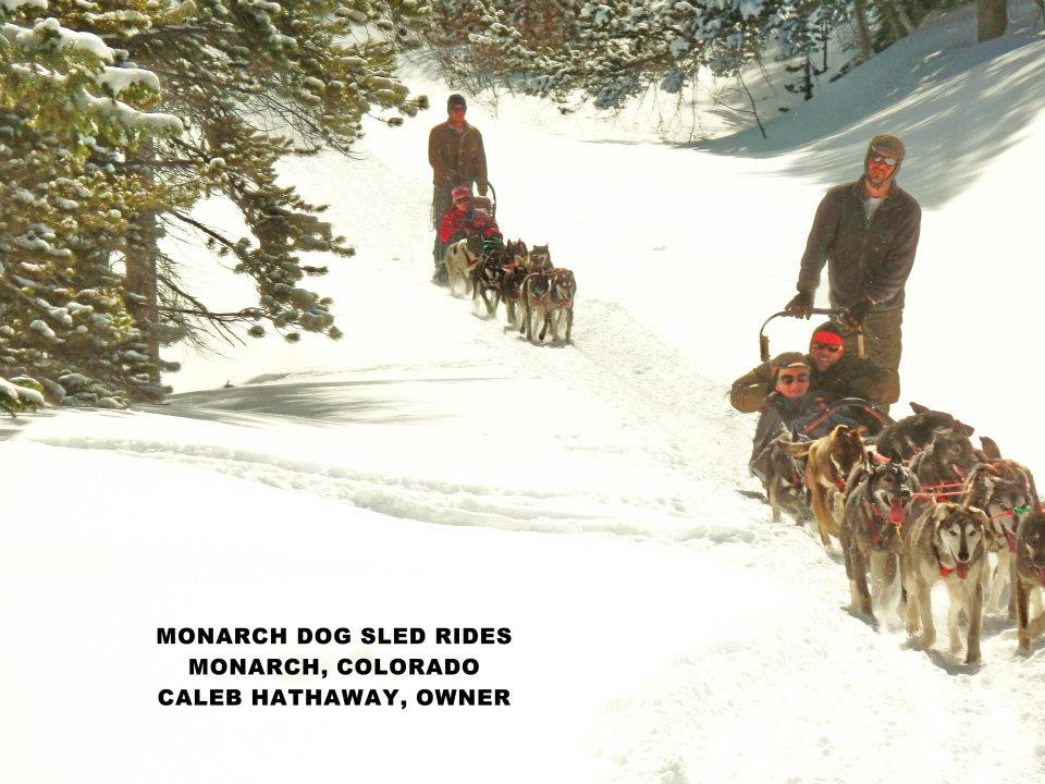 Monarch Dog Sled Rides-Monarch必去景点