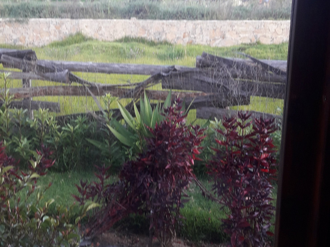 El Portal de Iza主图