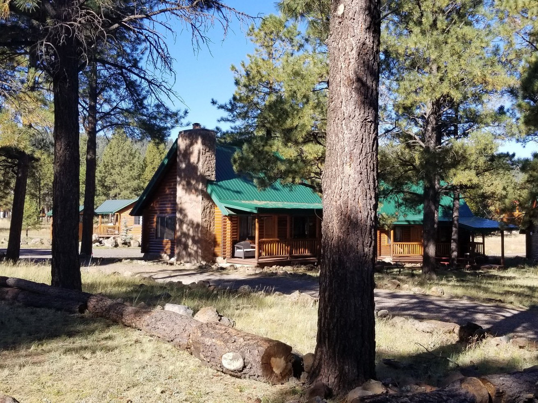 Snowy Mountain Lodge主图