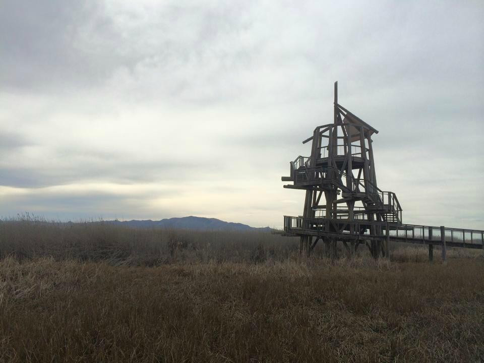 Great Salt Lake Shorelands Preserve景点图片