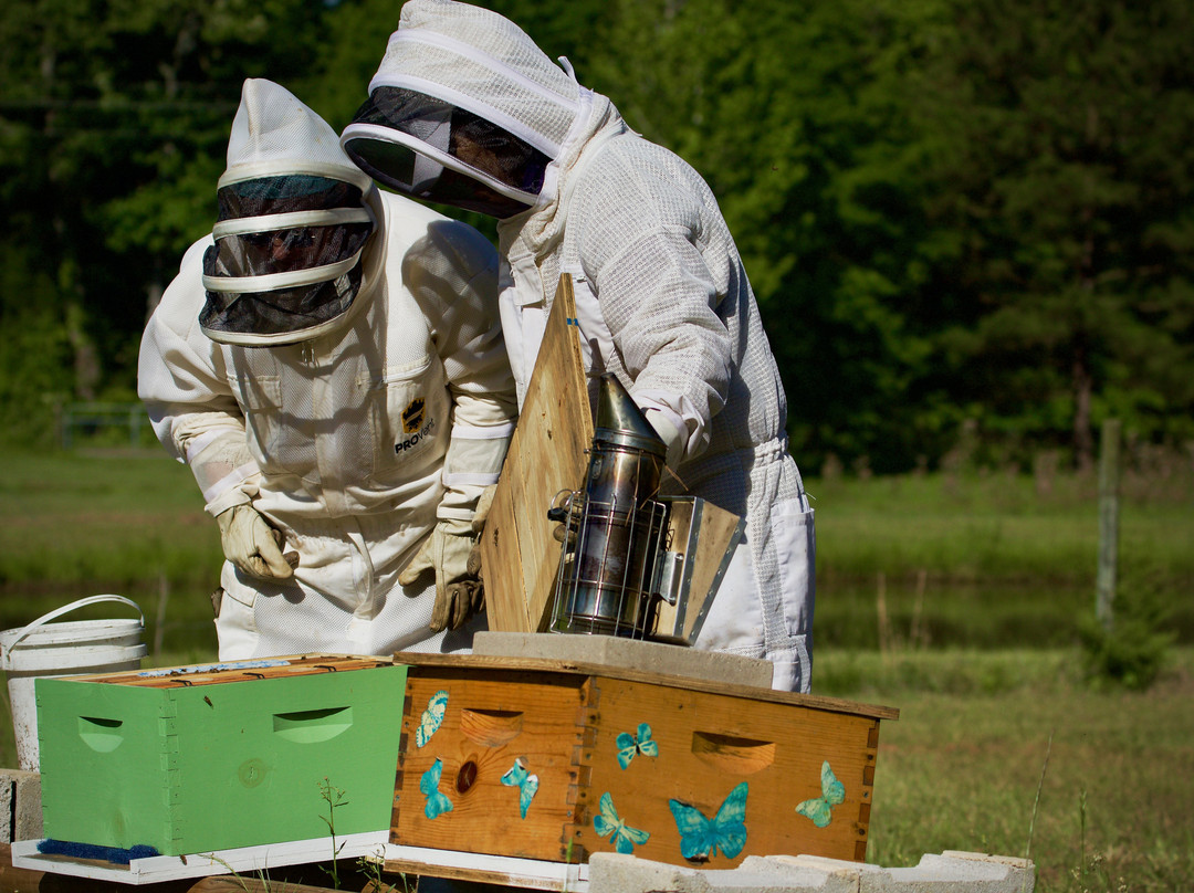Bulah's Best Farm-Rusk必去景点
