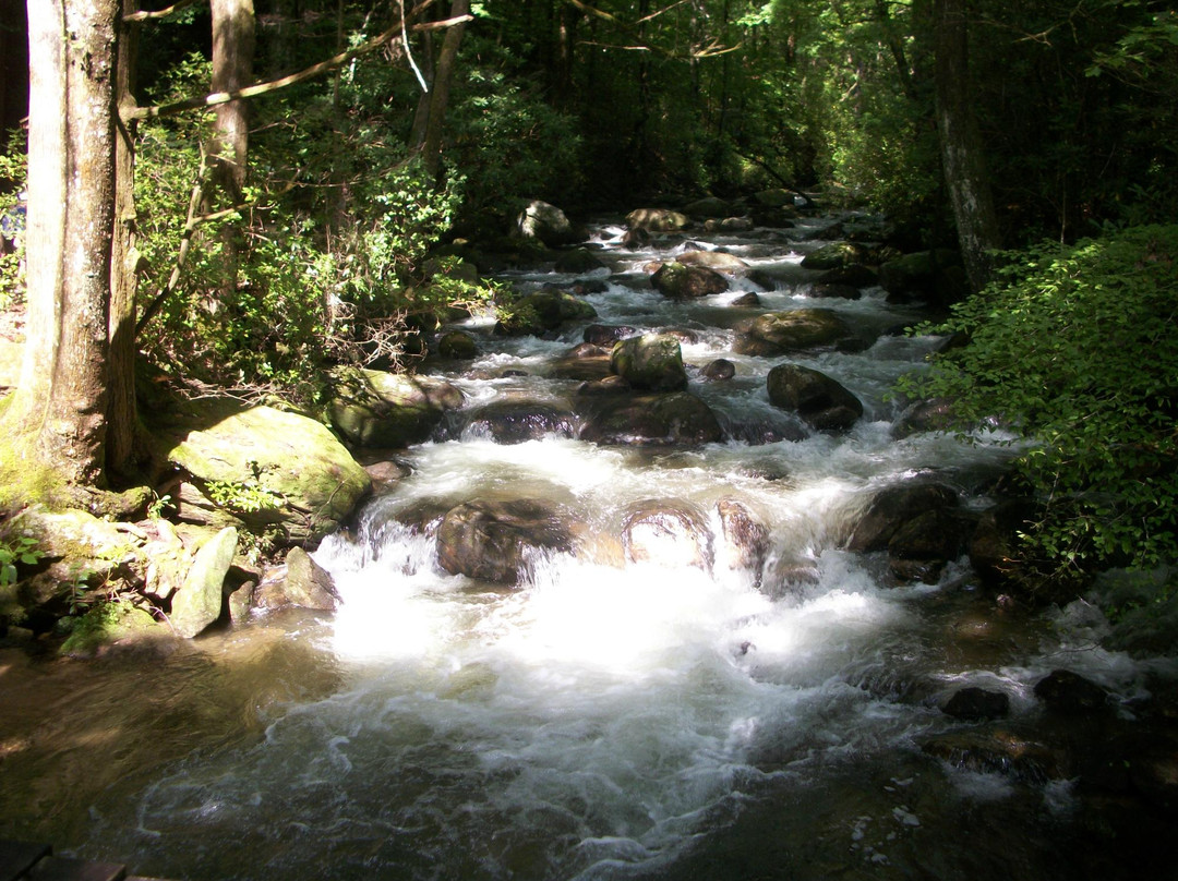 Jones Gap State Park