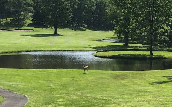 Nidom Classic Course-苫小牧市必去景点
