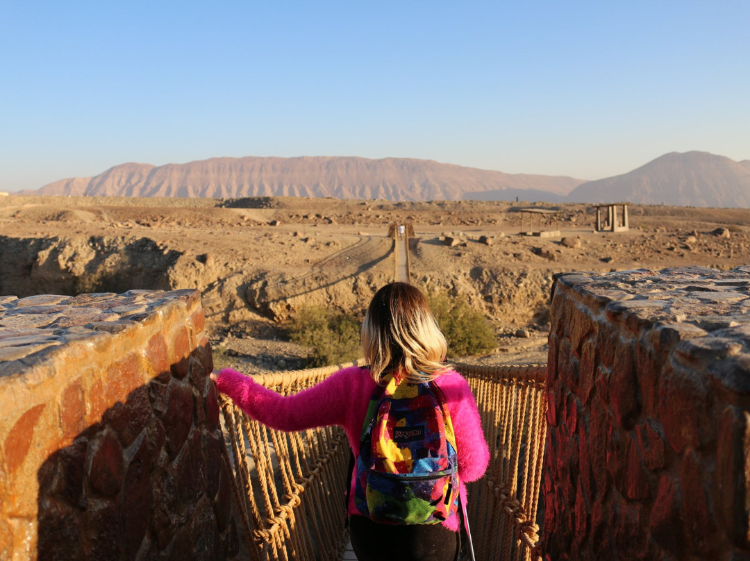 塔克纳旅游景点-Miculla Petroglyphs