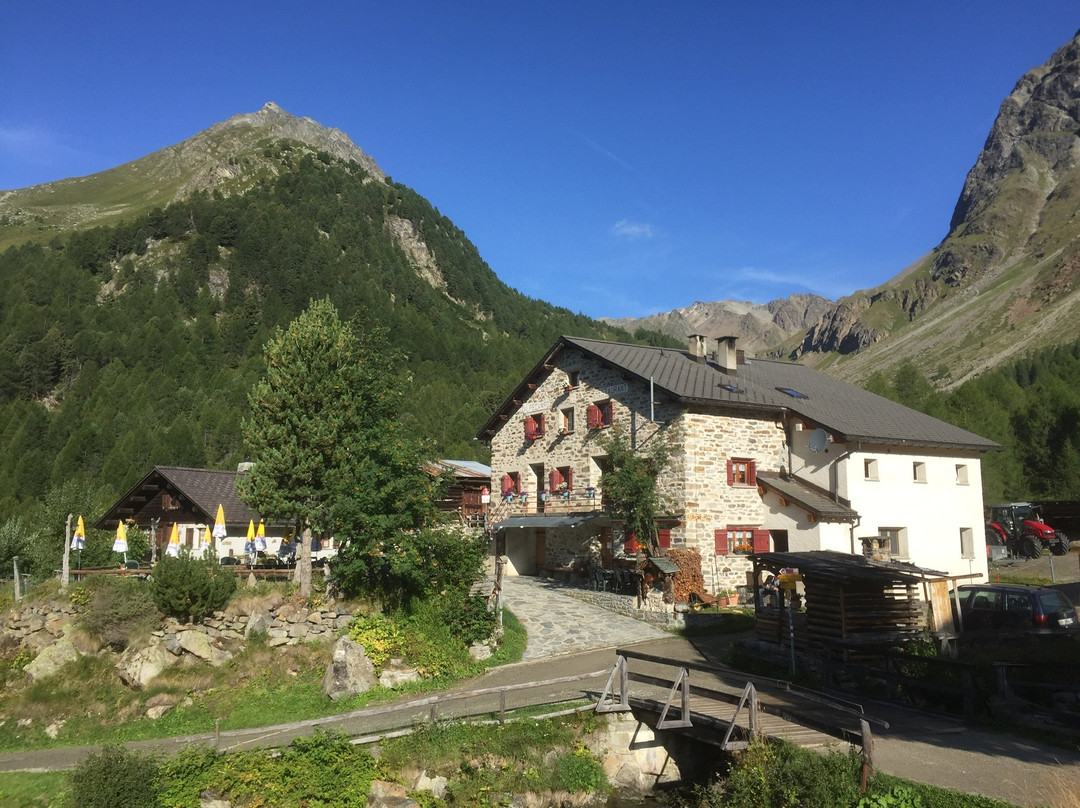 Ristoro Alpe Campo