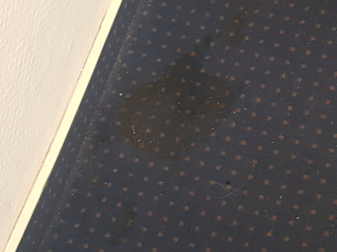 Hotel Euler Haus主图