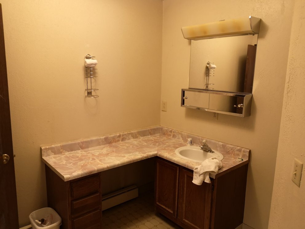 The Golden Bear主图