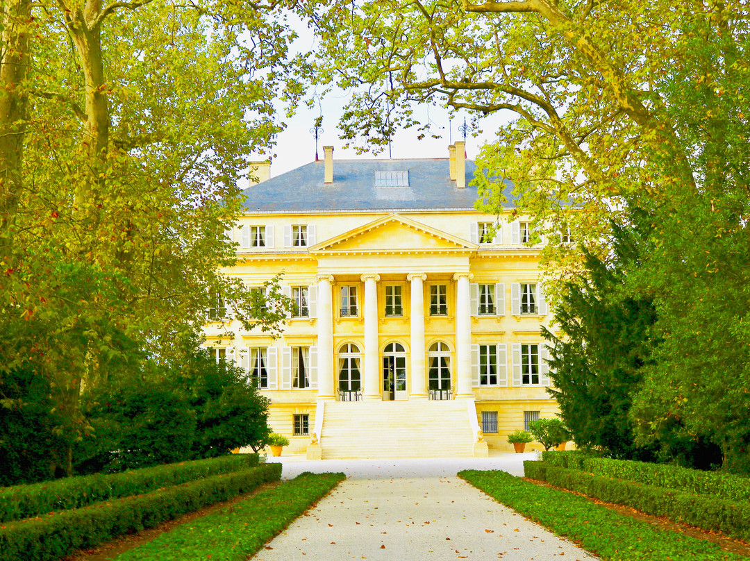Chateau Margaux景点图片