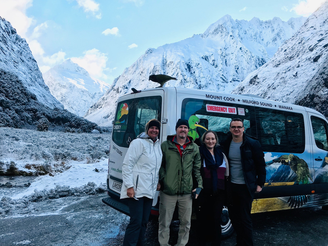 Cheeky Kiwi Travel