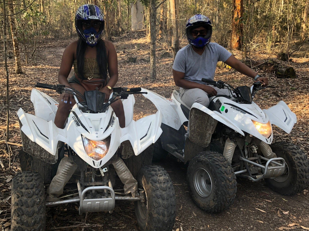 WildX Adventures - Garden Route-荒野必去景点