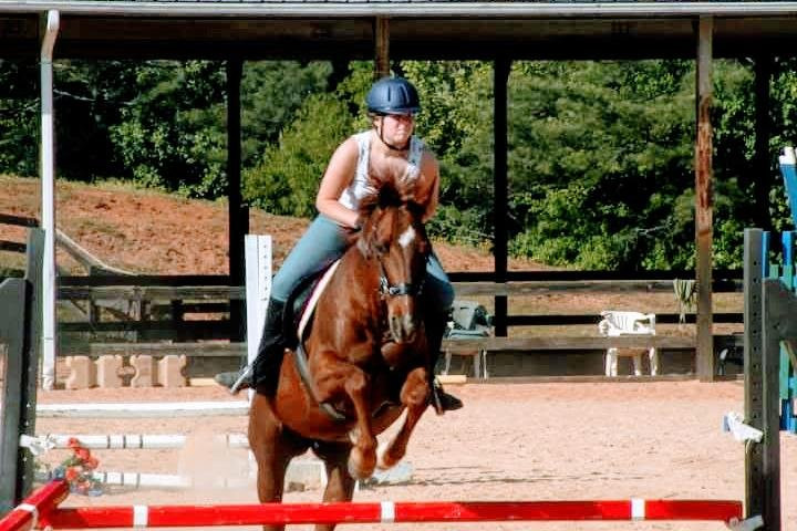 The Stables at Northeast Georgia-Carnesville必去景点