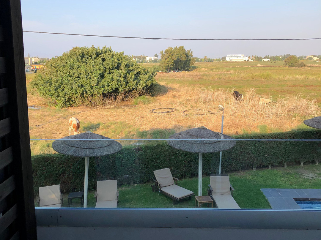 TUI BLUE Palazzo del Mare主图