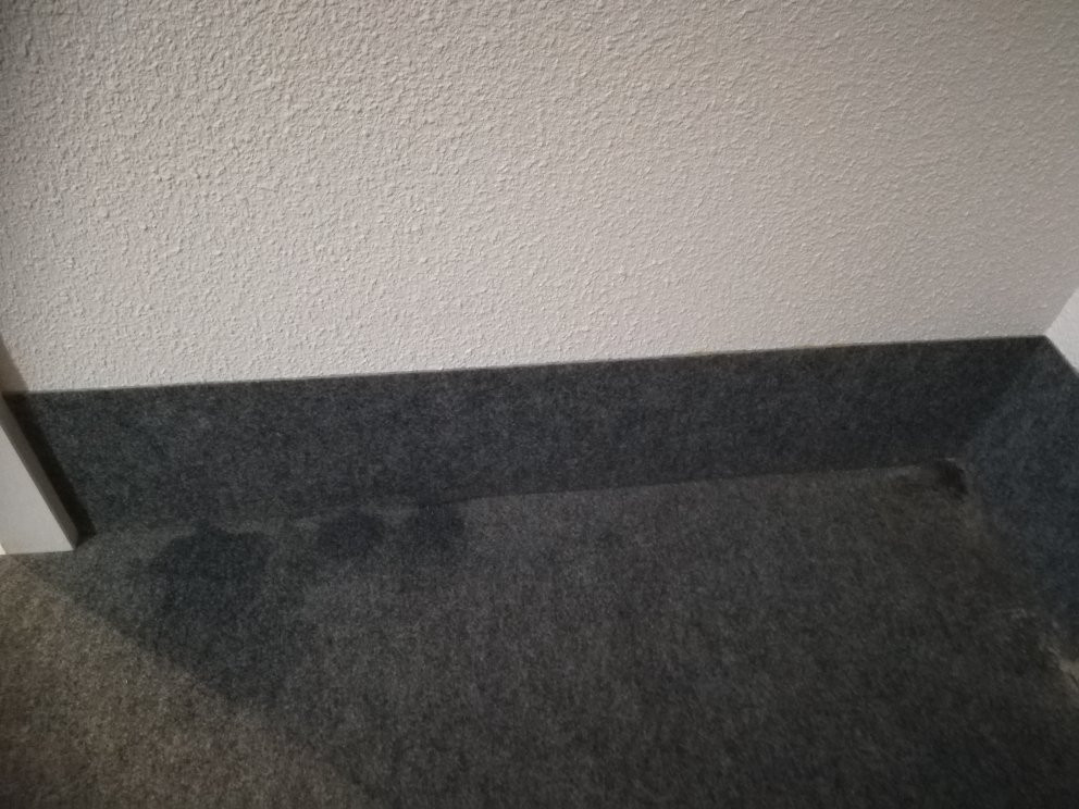 B&B Hotel Colmar Expo主图