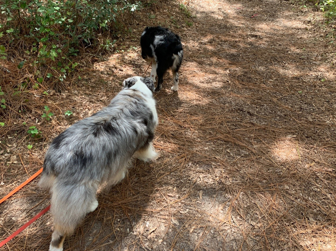 Whispering Pines Park-因弗内斯必去景点