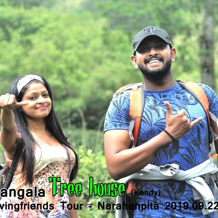 Tree House Rangala主图