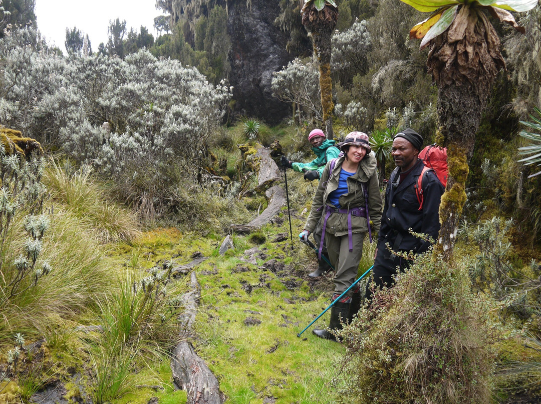 Bujuku Eco Tours & Travel Ltd-Kasese必去景点