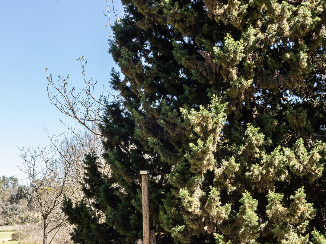 Francisco Alvarez酒店住宿-El Ombu