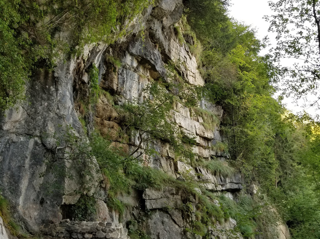 Rothenfluh Ruins-维尔德斯维尔必去景点