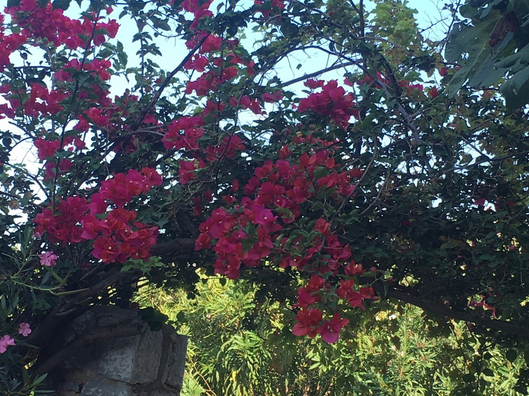 Las - Giannakakou Traditional Stone Houses主图