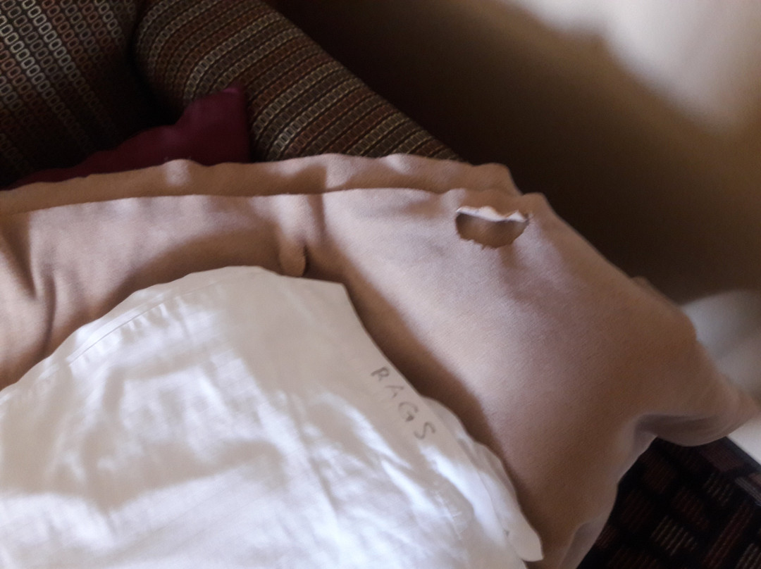 Grand Forks Lodge & Suites主图