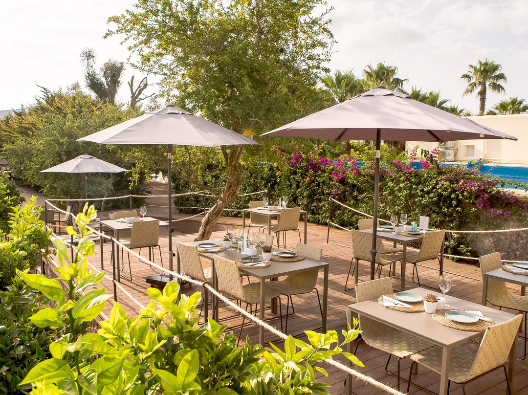 Agroturismo Ibiza Can Jaume主图