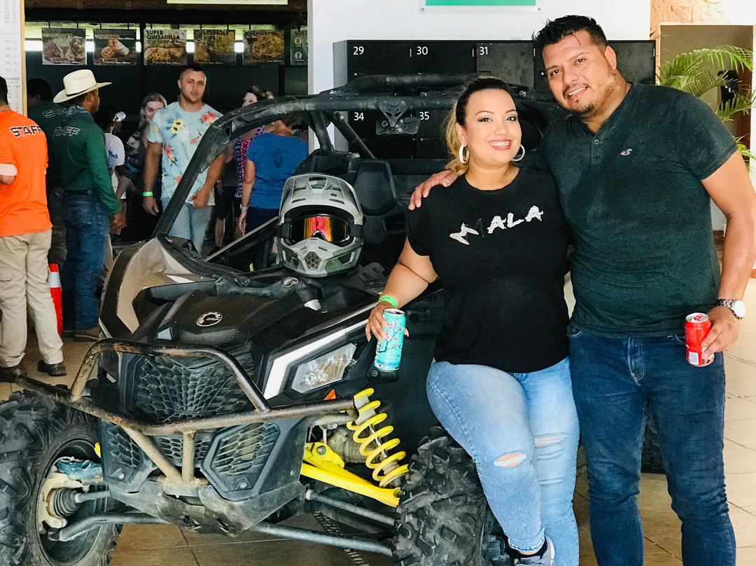 Cactus Tours-卡波圣卢卡斯必去景点