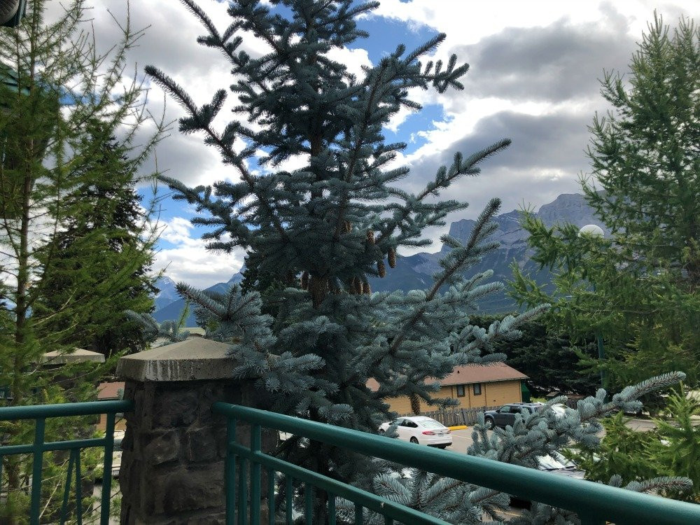 贝斯特韦斯特普拉斯波卡泰拉酒店主图