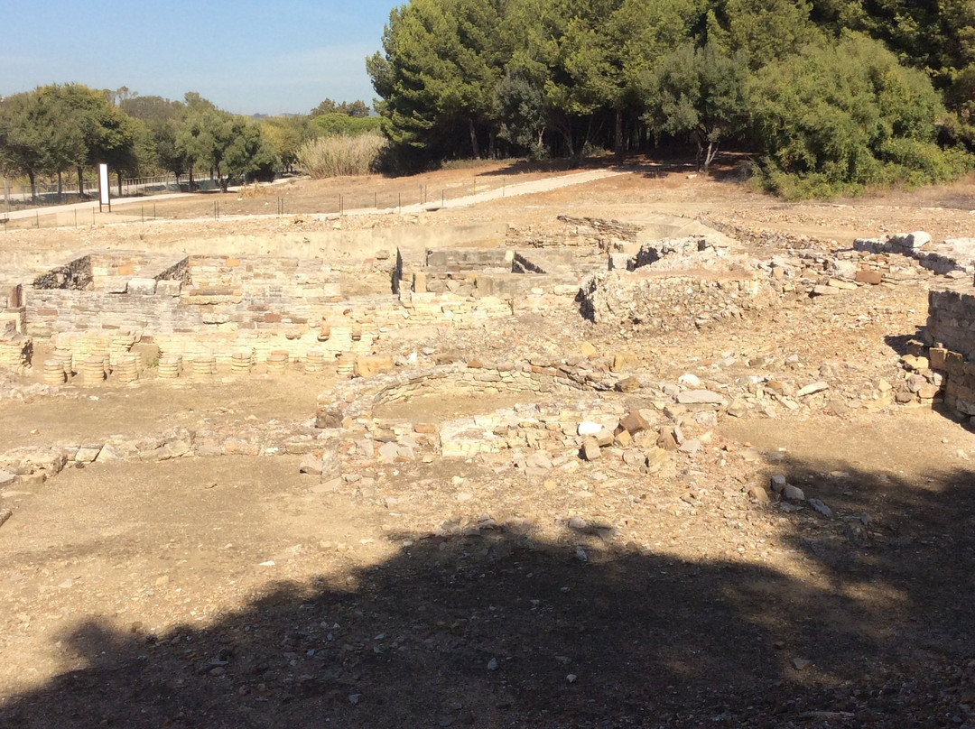 Enclave Arqueologico de Carteia景点图片