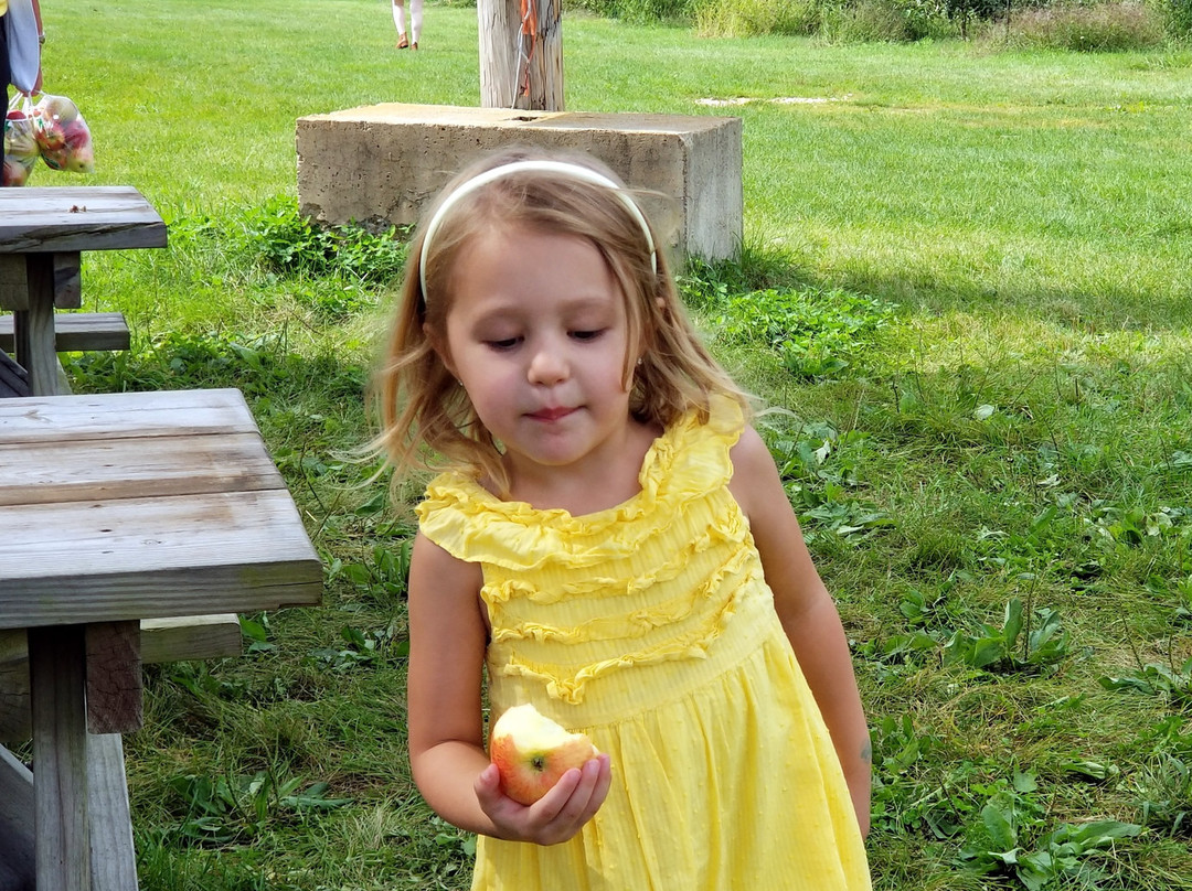 All Seasons Orchard-Woodstock必去景点