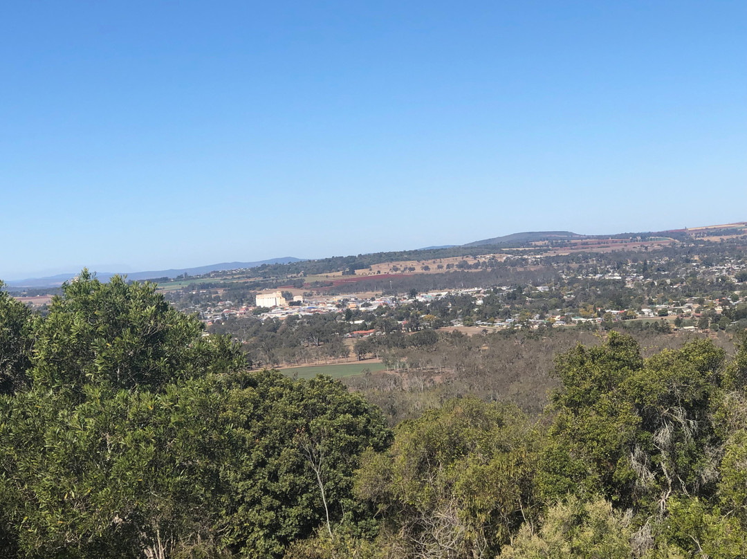Mt Wooroolin Lookout-Kingaroy必去景点