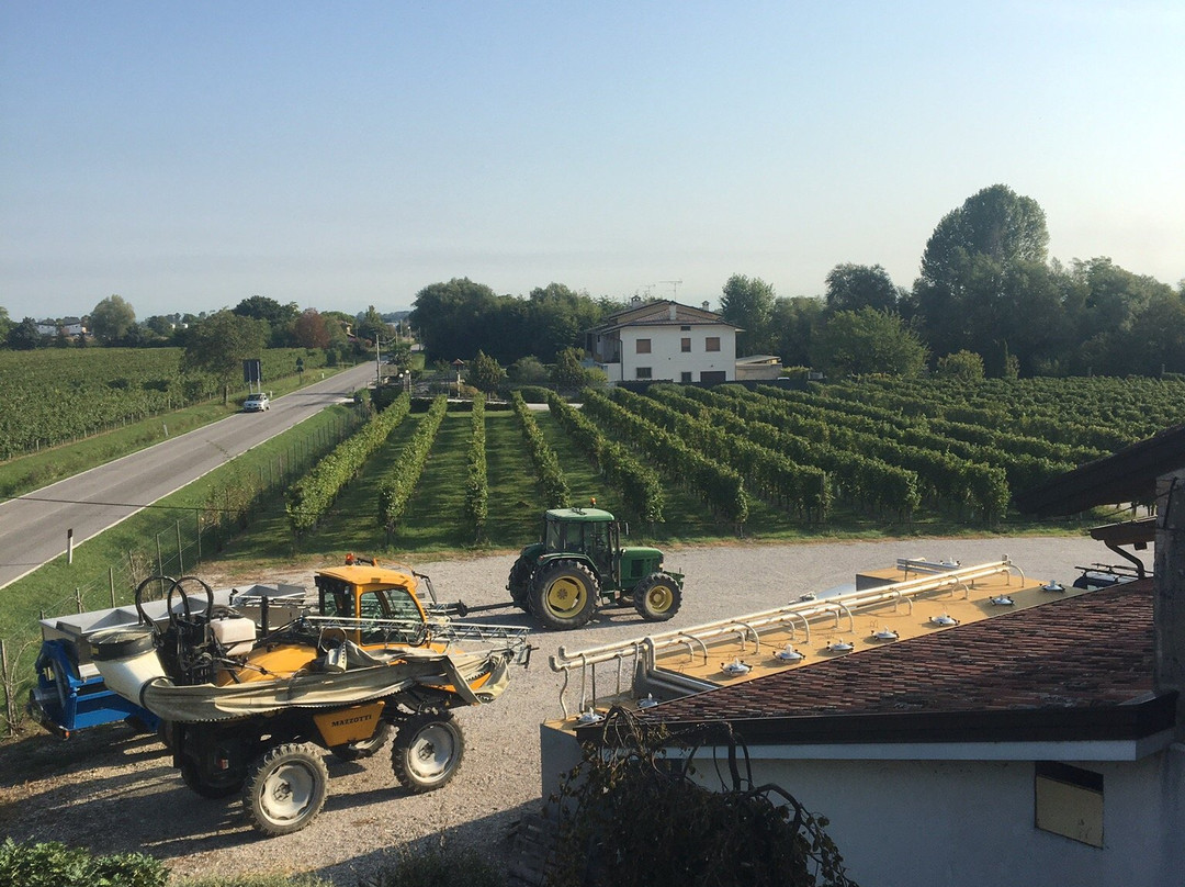 Agriturismo La Rosta主图