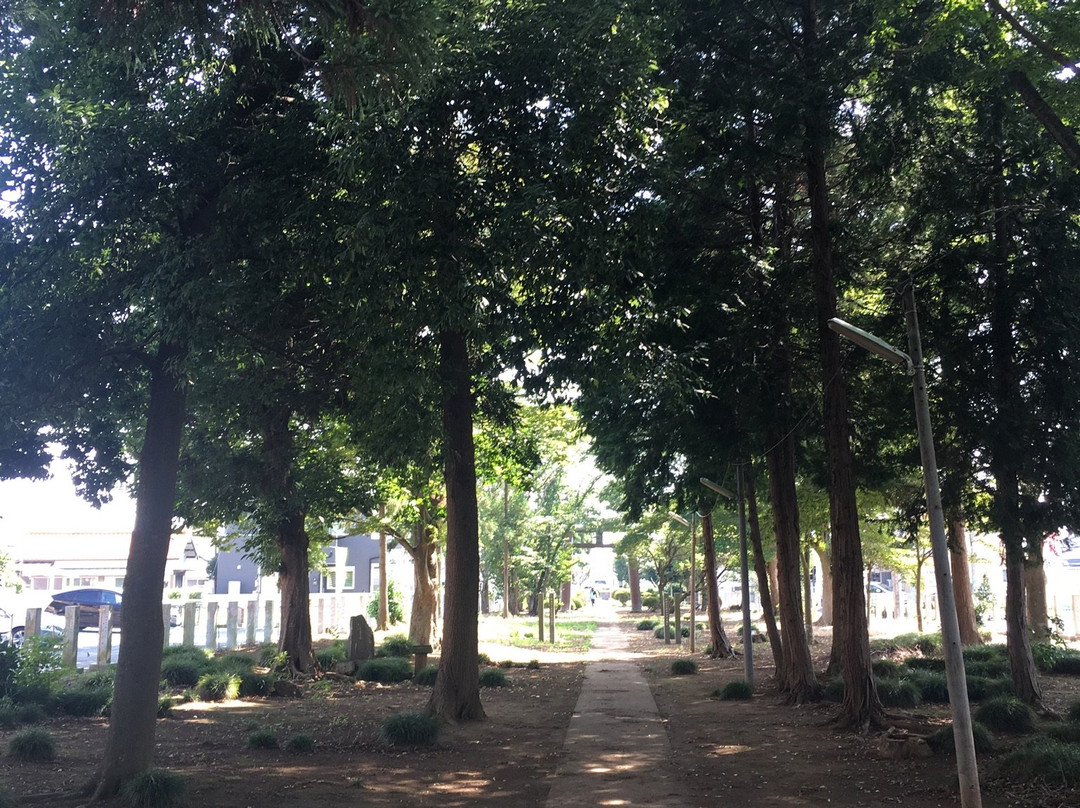 Nakagoami Shrine-阿见町必去景点