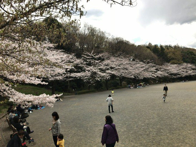 Serigaya Park-町田市必去景点