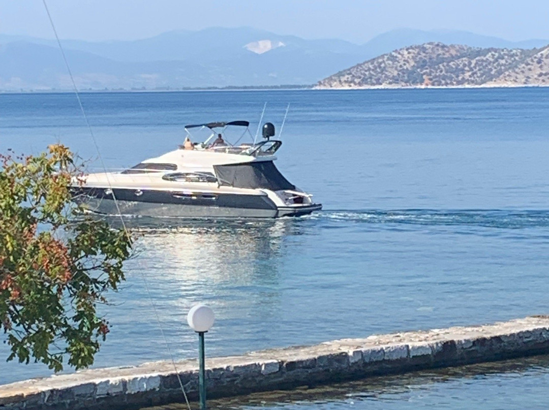 Hotel Angelica主图