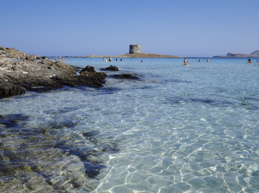 Cala Rosa Club Hotel主图