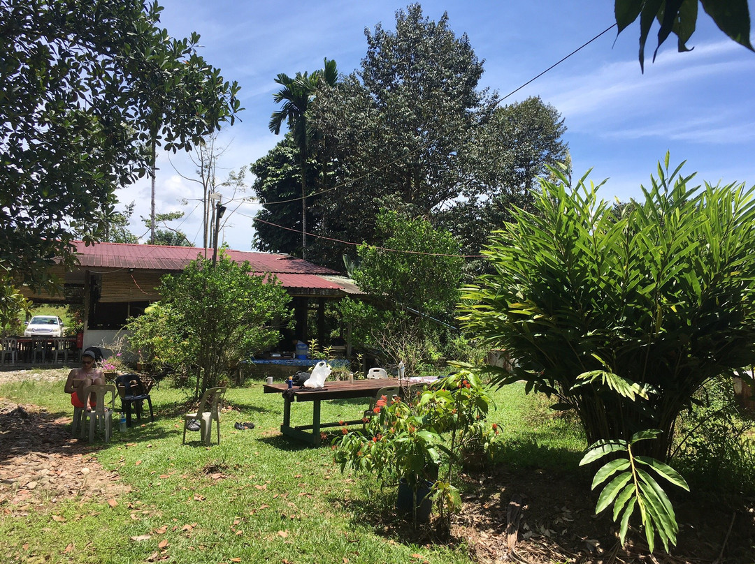Mulu Backpackers Homestay